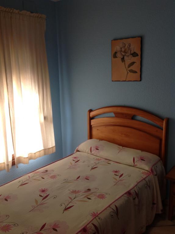 Hostal Los Amigos オリベンサ 部屋 写真